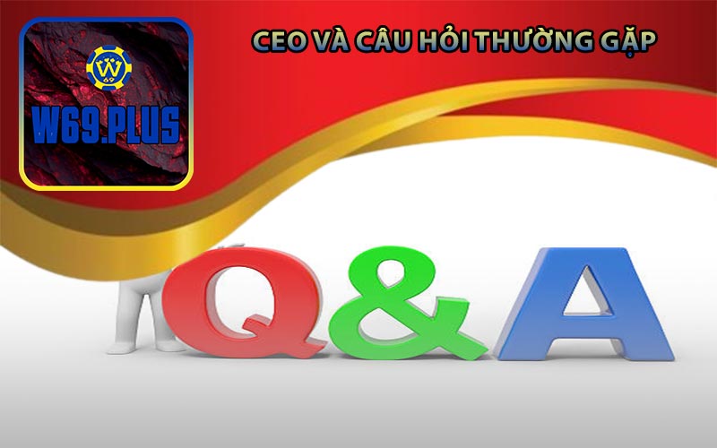 CEO và Câu hỏi thường gặp