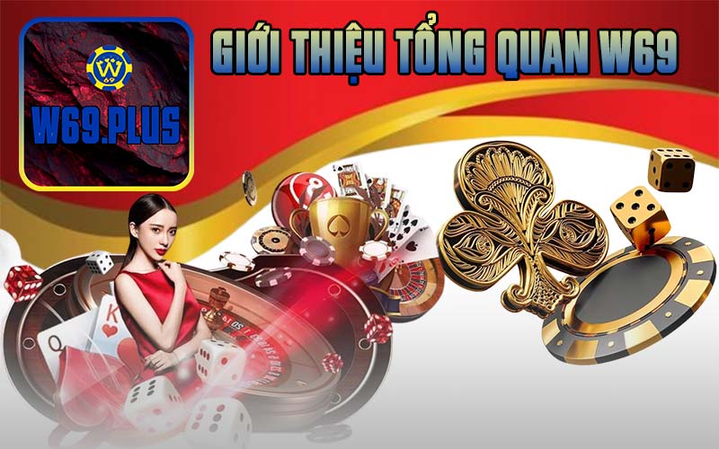 Giới thiệu tổng quan W69
